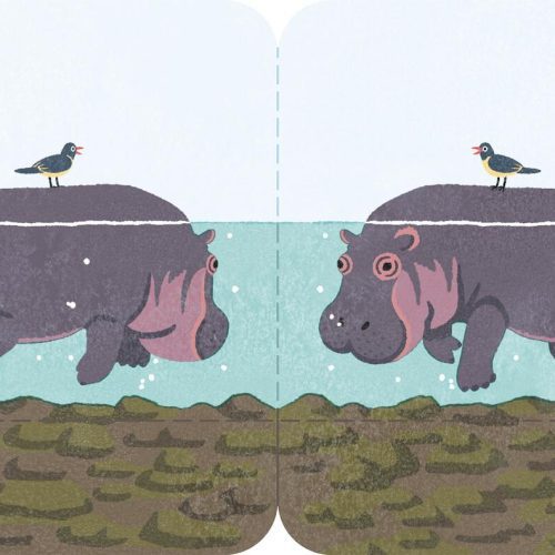 Hippo Futamata Fusen Sticky Notes - Odd Nodd Art Supply