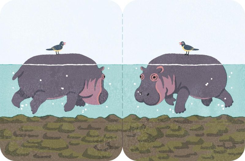 Hippo Futamata Fusen Sticky Notes - Odd Nodd Art Supply