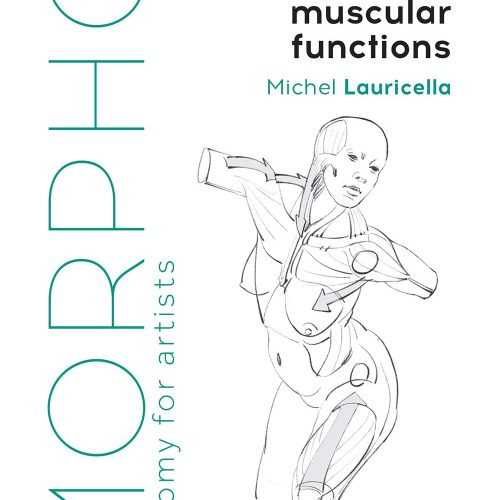 Joint Muscular Morpho Anatomy for Artists Book Series - Odd Nodd Art Supply