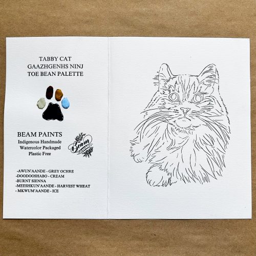 Tabby Beam Cat Paintables and Palettes - Odd Nodd Art Supply