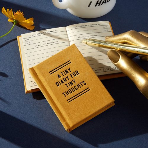 a tiny diary for tiny thoughts brass monkey 9780735381094 761055