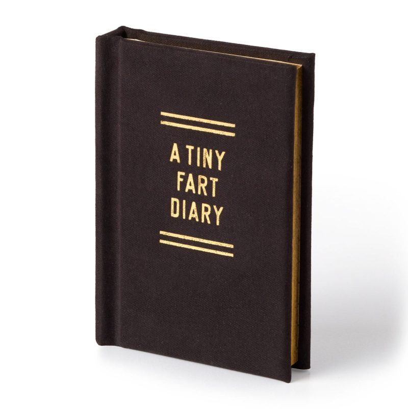 Fart Tiny Diaries - Odd Nodd Art Supply